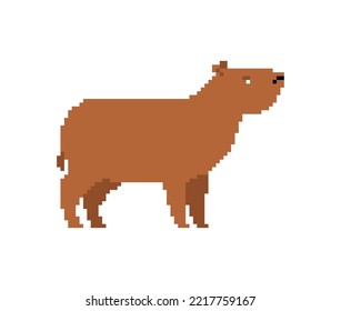 Capybara Pixel art. 8 bit guinea pig. pixelated Vector illustration