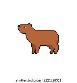 Capybara Pixel art. 8 bit guinea pig. pixelated Vector illustration