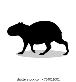 Capybara rodent mammal black silhouette animal. Vector Illustrator.	