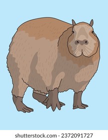 Capybara Rodent Standing Side View