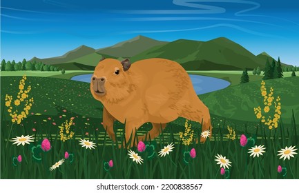 Capybara . Rodents of South America. Realistic vector landscape