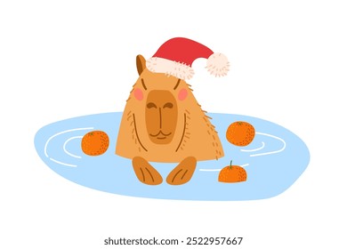 Capybara with Santa Claus hat. Capybara swimming. Animal takes bath with pleasure isolated on white background. Cute Christmas character, Rodent in water. Largest rodent. Hydrochoerus hydrochaeris