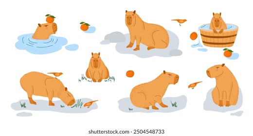 Capybara set. Funny amusing capybara characters swimming, bathing, walking, relaxing. Animals with pleasure isolated on white. Cute funny cartoon character. Largest rodent. Hydrochoerus hydrochaeris.