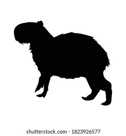 Capybara Silhouette, Animal Vector Illutstration.