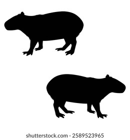 capybara Silhouette, capybara illustration, capybara icon Silhouette, capybara Silhouette illustration