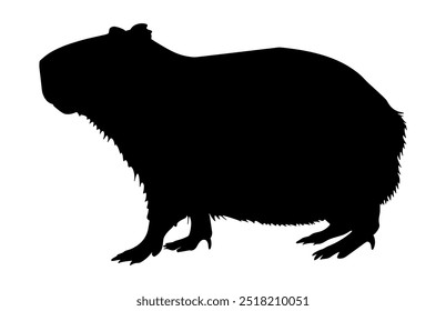 Capybara Silhouette Vector, Capybara Black Clipart isolated on a white background