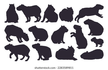 Capybara silhouettes. Semi-aquatic capybara wild animals cute animals, cute mammal hydrochoerus stencil flat vector illustration set. Capybara rodent silhouette collection