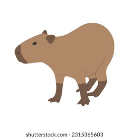 capibara single 13 lindo sobre fondo blanco, ilustración vectorial. el capibara es el roedor más grande.