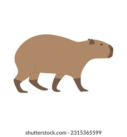 capibara single 14 lindo sobre fondo blanco, ilustración vectorial. el capibara es el roedor más grande.