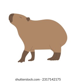 capibara single 16 lindo sobre fondo blanco, ilustración vectorial. el capibara es el roedor más grande.