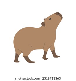 capibara single 24 lindo sobre fondo blanco, ilustración vectorial. el capibara es el roedor más grande.