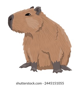 Capybara sits. Wild animals of South America. vector animal