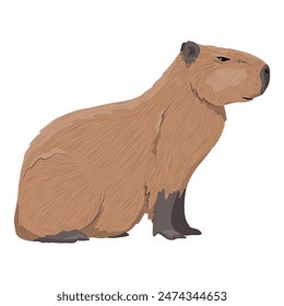 Capybara sits. Wild animals of South America. vector animal