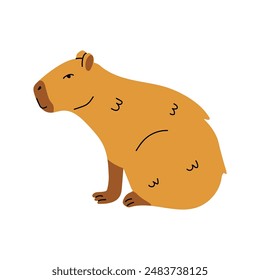 Capybara Sitting On White Background