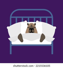 Capybara is sleeping. Guinea pig Sleeping in bed.
