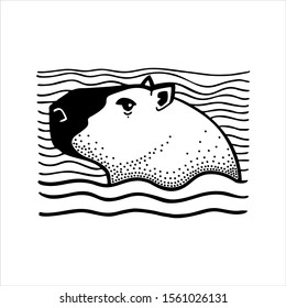 capybara swimming at a river