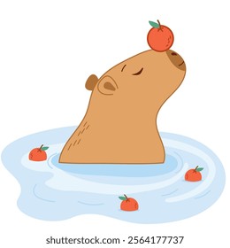 Capybara swims. Cute capybara in the water.