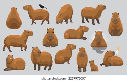 Capybara Various Cute Cartoon Poses Vector Illustration