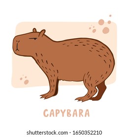 Capybara Vector Color Illustration Capybara Drawing 库存矢量图（免版税
