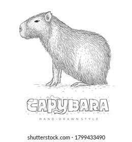 capybara vector in hand drawn style. realistic animal illustrations