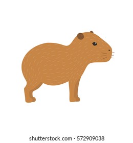 Capybara vector illustration