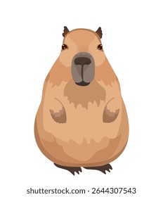 Capibara. Ilustração vetorial de capivara. Animais bonitos