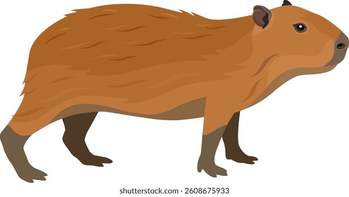 Capybara Vector illustration Isolated object