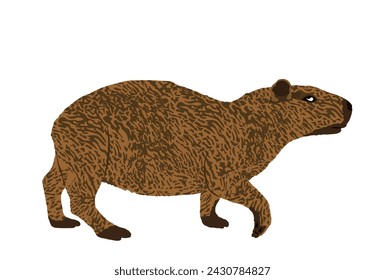 Capybara Vektor-Illustration isoliert auf weißem Hintergrund. Das größte Nagetier-Symbol. Hydrochaeris.