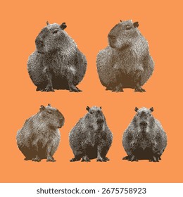 Capybara, vetor capybara, ilustração capybara, desenho de linha em fundo laranja.