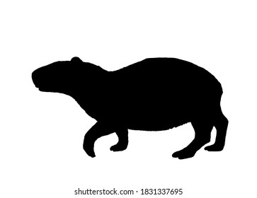 Ilustración de silueta vectorial de Capibara aislada en fondo blanco. El mayor símbolo animal de roedor. Hidrocloruro de aeris.