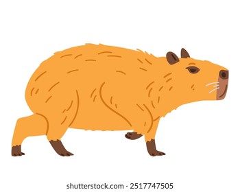 Capybara walking flat vector illustration isolated on white.