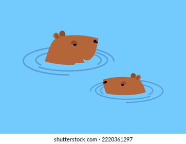 Capybara in water. guinea pig swims. Vector illustration