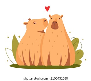 Capybaras kissing, love illustration isolated on white background