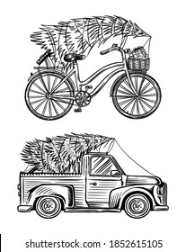 Car and Bicycle with a Christmas tree. Spruce in the luggage of the truck. Delivery concept. Vector illustration for label, badge, logo, postcard or banner. Hand drawn Vintage engraved sketch. 