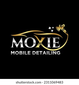 Car Detailing Logo Inspiration Vector template