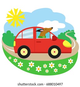 A car with a dog on the road