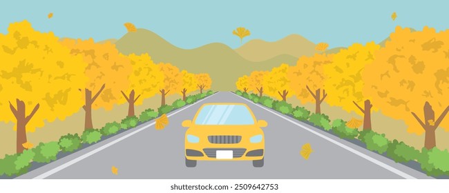 A car driving along a roadside ginkgo tree lined street. vector illustration.