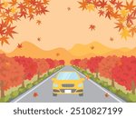 A car driving along a roadside maple tree lined street. vector illustration.