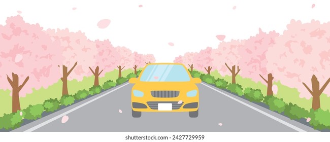 A car driving along a roadside tree with cherry blossoms blooming.