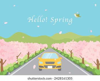 A car driving along a roadside tree with cherry blossoms blooming.