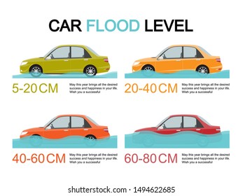 Car Flood Level Infographic Vector