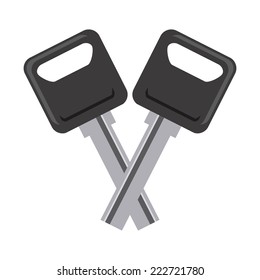 car keys graphic design , vector illustration