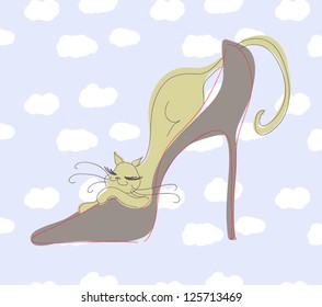 Car laying in shoe