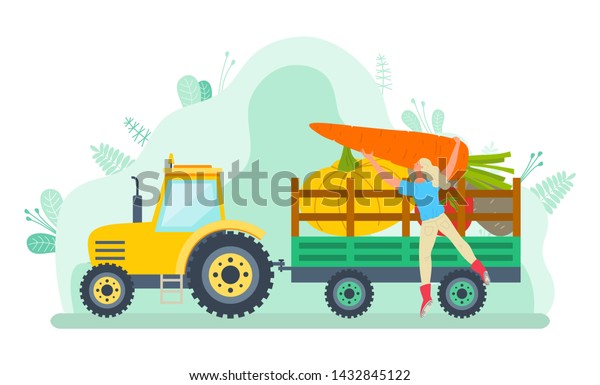 Car loaded with vegetable vector,\
character filling tractor with gathered products. Harvesting\
season, transportation of food. Farmer and\
machine