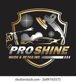 Car Paint and Detailing Logo Design Template. Suitable for Auto Salon Services Logo Business.