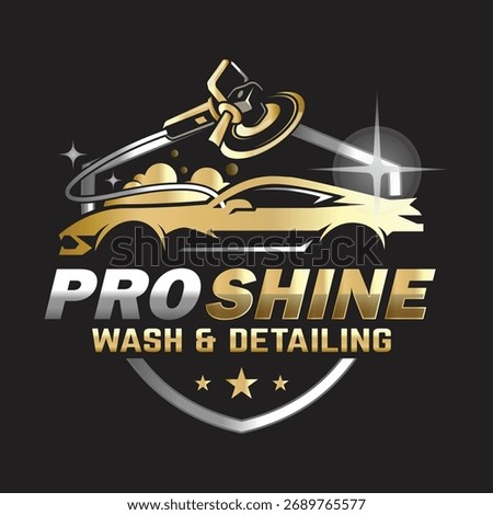 Car Paint and Detailing Logo Design Template. Suitable for Auto Salon Services Logo Business.