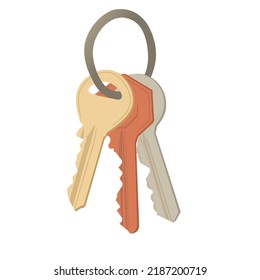 Car, or property keys for security