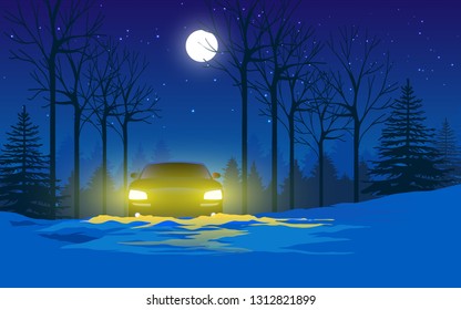 Car in the snow forest in the night