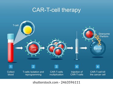 CAR T-cell therapy. cancer immunotherapy. killing of tumor cells. genetically engineered. Personalized medicine.. Vector poster. Isometric Flat illustration.