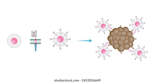 Terapia con células T CAR. Célula T receptora de antígeno quimérico, célula T CAR, para uso en inmunoterapia. La ingeniería genética. Quimioterapia, Ilustración vectorial.